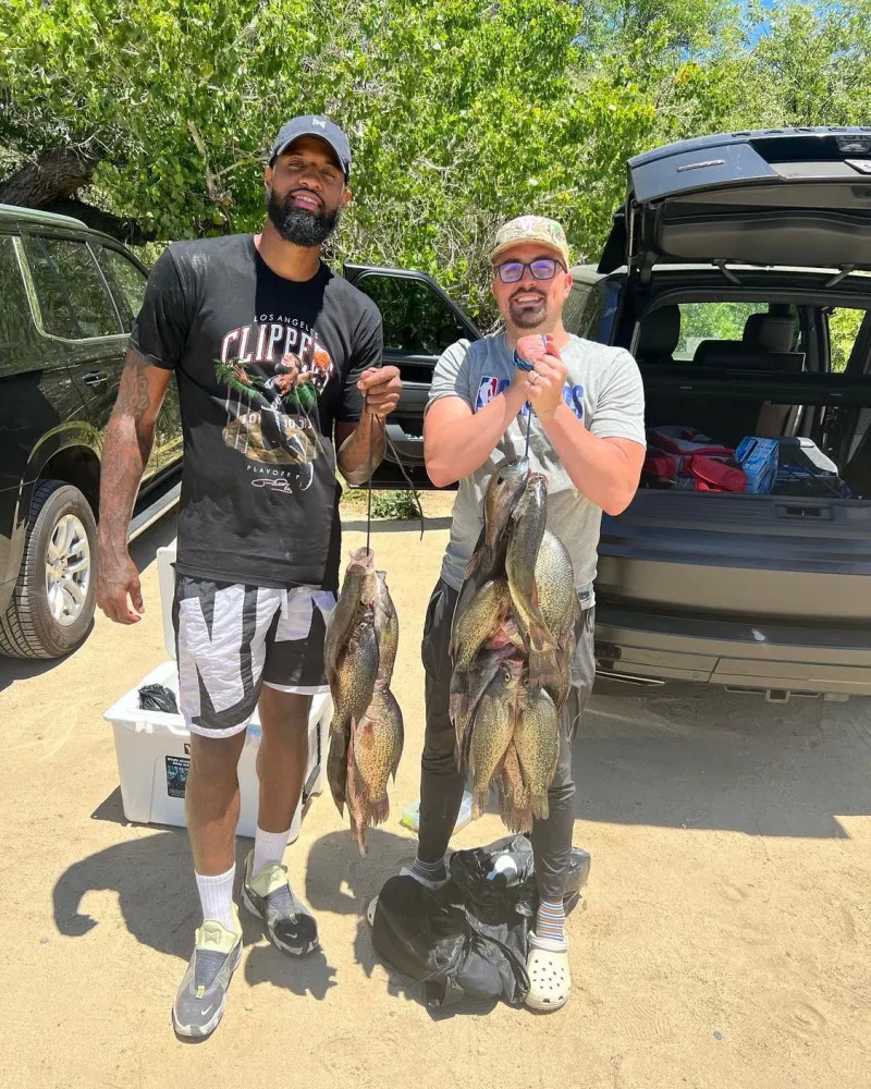 明运作的体 明运作的体