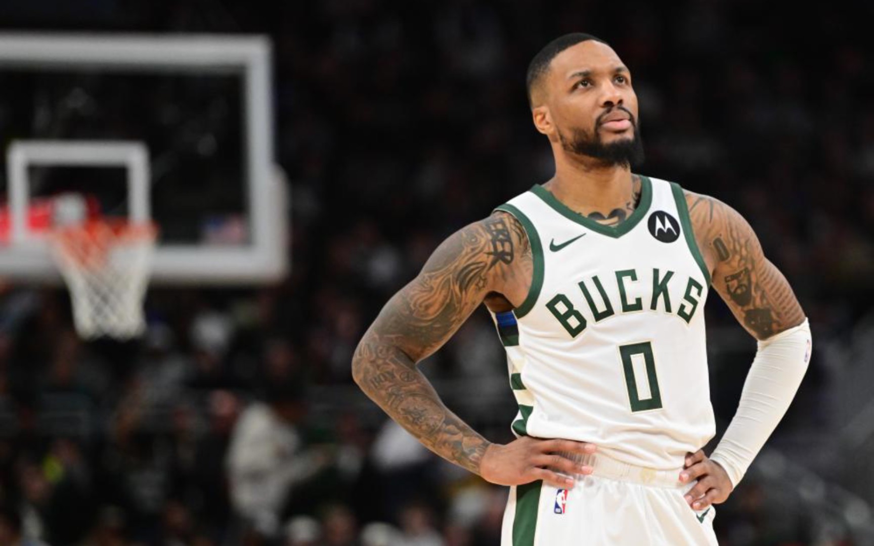 她制定了详 她制定了详