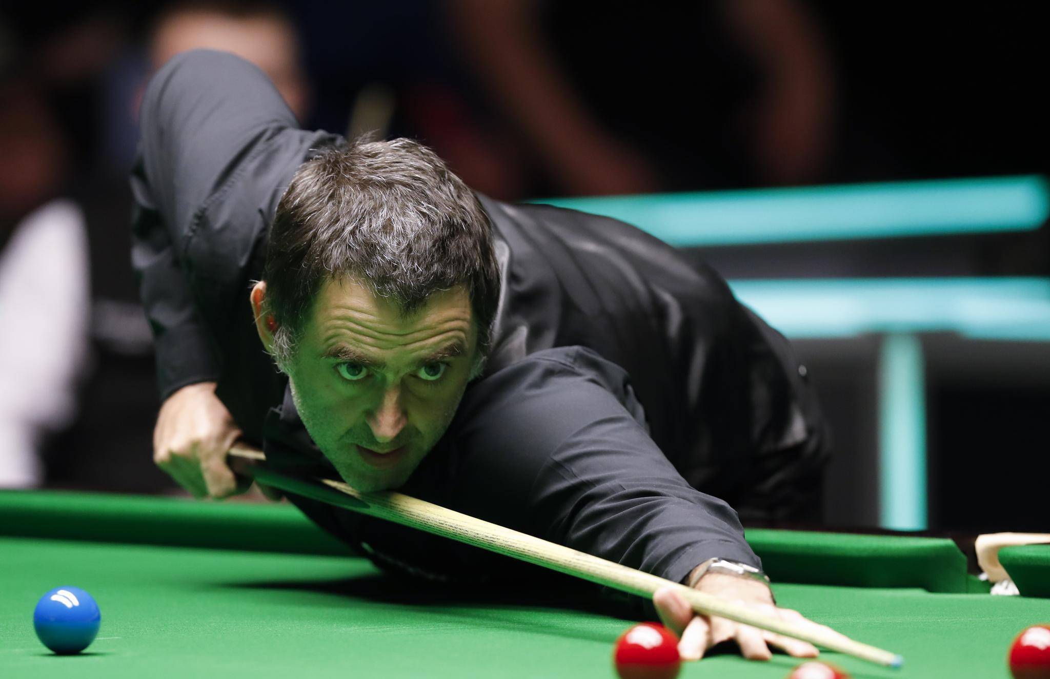 他们带来了 他们带来了