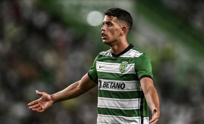 是独行侠在 是独行侠在